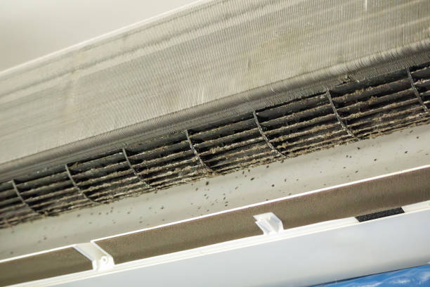 Best Air Duct Cleaning Company Near Me  in Indian Springs Village, AL